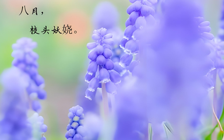 5G急救裝備/智能急救系統(tǒng)天榮醫(yī)療-立秋過后持續(xù)高溫，注意防暑！